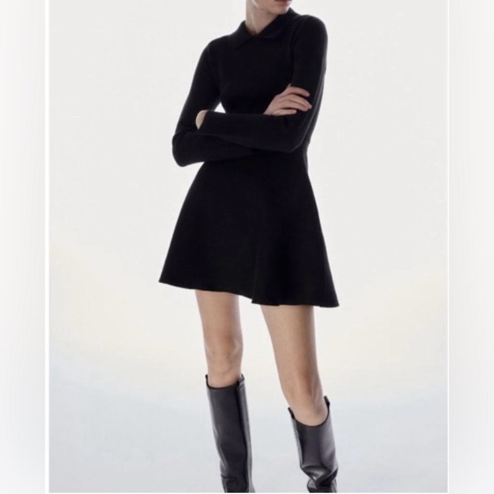ZARA Mini Skater Dress